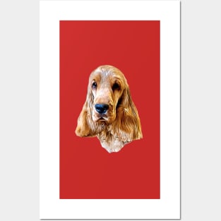 Cocker Spaniel Gold Beauty Posters and Art